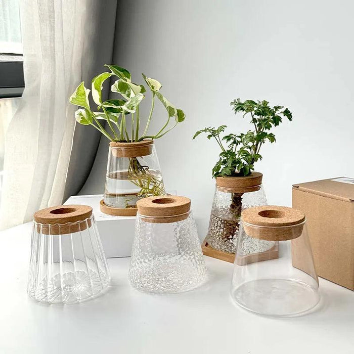 Chic Hydroponic Glass Vase - Modern Mini Planter for Stylish Home Decor