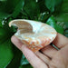 Vivid Orange Tower Conch Shell for Aquatic Decor and Creative Projects