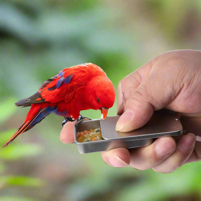 Smart Iron Parrot Training Feeder - Compact Cognitive Enhancement Jar