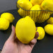 12pcs Realistic Faux Lemons - Artificial Fruit Decoration for Kitchen and Home Styling