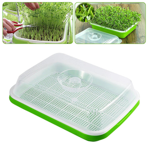 Sustainable Home Sprout Growing Kit - Easy Green & White Seed Tray Solution