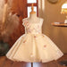 Baby Girls Sleeveless Princess Sequin Evening Dress