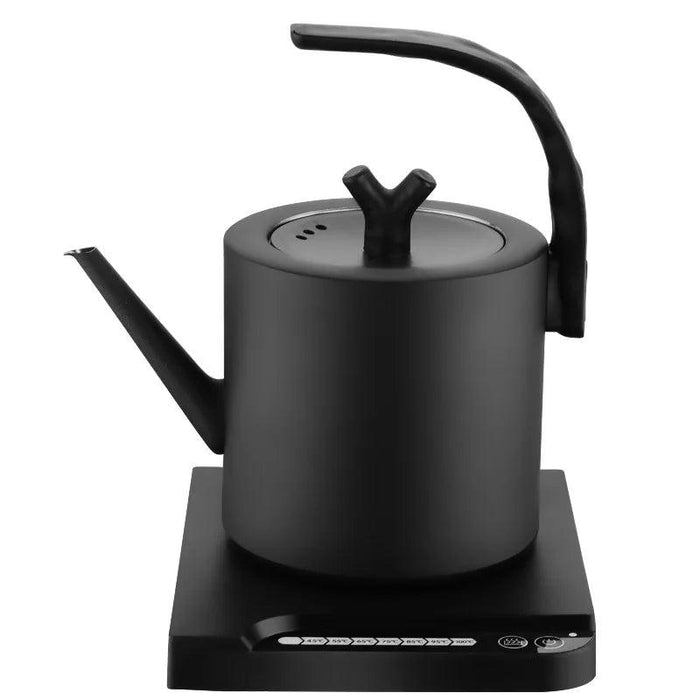 Elegant Precision Electric Kettle with Quick Boil and Temperature Settings