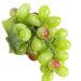 Lifelike Faux Fruits and Vegetables for Stunning Home and Restaurant Decor - Ideal for Captivating Food Photography