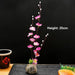 Sophisticated Floral Sushi Platter Set for Elevated Dining Experience