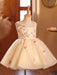 Baby Girls Sleeveless Princess Sequin Evening Dress