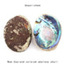 Stunning New Zealand Abalone Shell - 12-16CM Ideal for Weddings, Aquatic Displays, and Creative Crafts