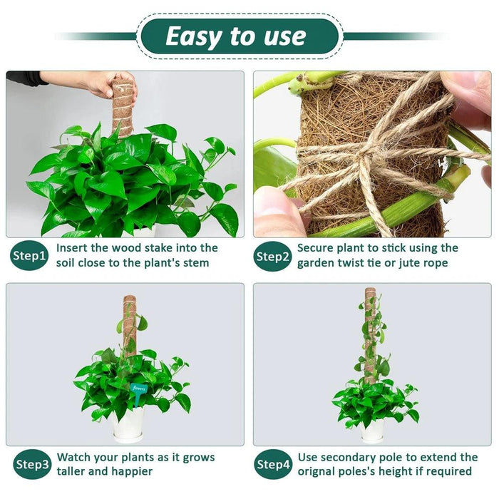 Vertical Garden Climbing Support Kit - Eco-Friendly Growth Solution for Indoor Plants