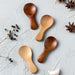 Eco-Friendly Mini Wooden Spice Spoons Bundle - Set of 4