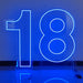 Neon LED Number Stand Set - Personalized Illuminated Decor for Home and Events