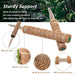 Vertical Garden Climbing Support Kit - Eco-Friendly Growth Solution for Indoor Plants