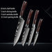 Premium Japanese Damascus Kitchen Knife Set - 1 to 10 Piece Collection for Masterful Culinary Precision