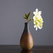 Stylish Hydroponic Ceramic Vase with Floral Accent for Tranquil Tabletop Elegance