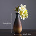 Stylish Hydroponic Ceramic Vase with Floral Accent for Tranquil Tabletop Elegance