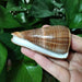 Elegant Gold-Infused Conus Striatus Shell - Ideal for Aquatic Decor, Hermit Crab Habitats, and Special Celebrations