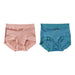 Premium 2-Pack Women's High-Waisted Seamless Satin Silk Briefs