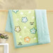 Adorable Plush Infant Blanket: Soft Comfort for Your Baby's Delicate Skin