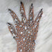 Sparkling Rhinestone Performance Gloves - Illuminate Your Stage Presence and Nightlife Style