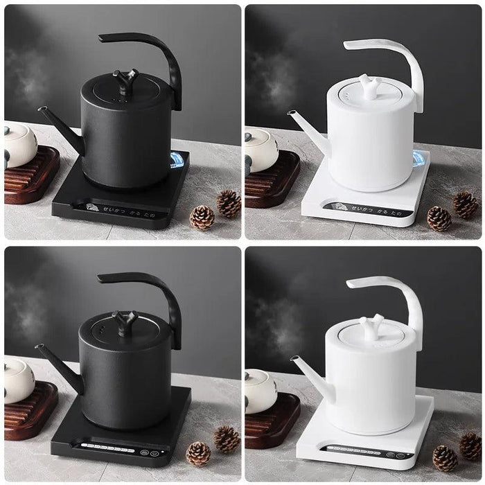 Elegant Precision Electric Kettle with Quick Boil and Temperature Settings