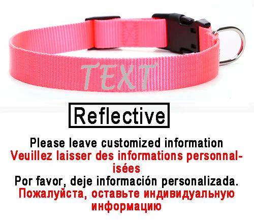 Personalized Nylon Dog ID Collar – Custom Name & Contact Info for Every Dog Breed