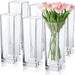 Set of 6 Elegant Clear Glass Vases - Chic Home Decor Accent