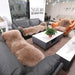 Sumptuous Authentic Australian Sheepskin Wool Area Rug - Cozy and Chic Home Accent Mat