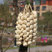 Artificial Onion, Garlic, and Red Pepper Decor - Realistic Foam Vegetables for Photography and Home Styling