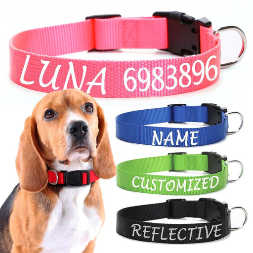 Personalized Nylon Dog ID Collar – Custom Name & Contact Info for Every Dog Breed