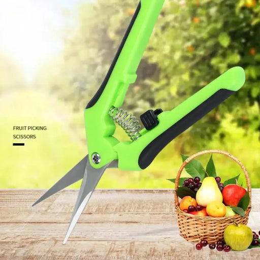 Precision Stainless Steel Garden Scissors with Ergonomic Design for Small Plant Trimming