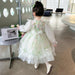 Enchanted Floral Tulle Princess Dress for Girls with Long Sleeves