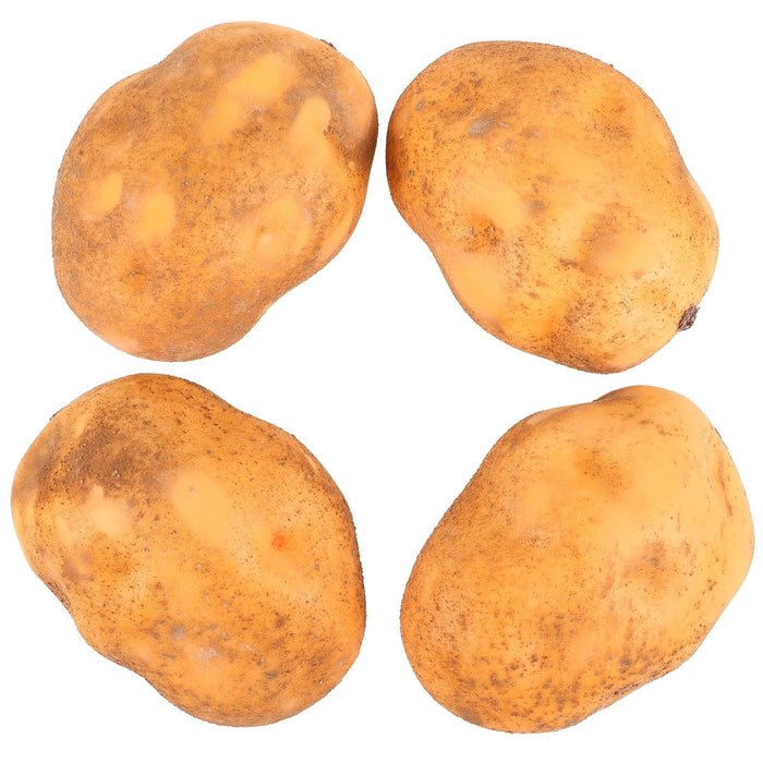 Set of 4 Realistic Foam Potato Replicas for Home Decor and Learning Activities