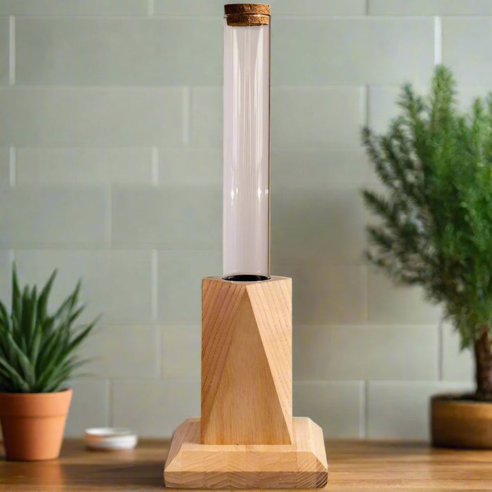 Nordic Chic Glass Test Tube Vase Collection with Wooden Stand - Stylish Hydroponic Plant Display