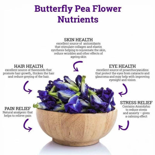 Glow & Shield: Blue Butterfly Pea Elixir for Immune Support and Radiant Skin