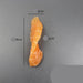 Lifelike Sushi Replica Collection - Salmon and Tuna Models for Home Decor and Photography