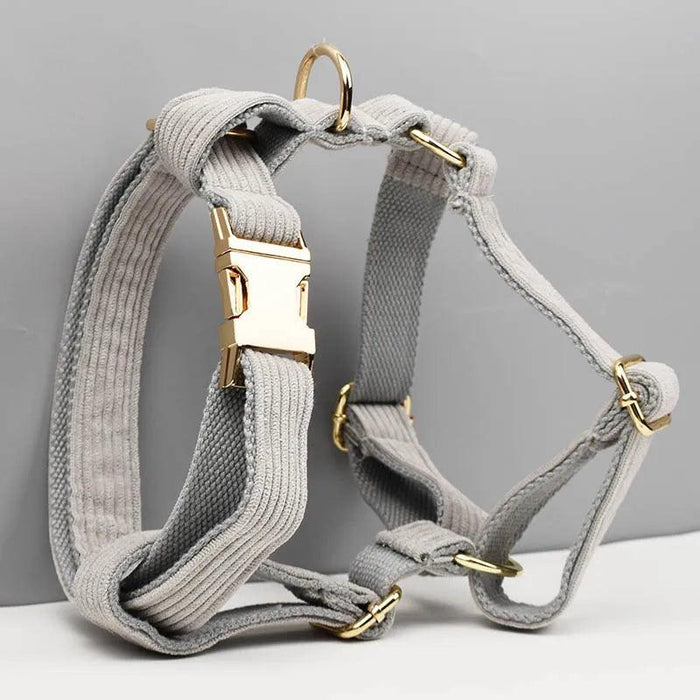 Personalized Light Grey Corduroy Dog Collar and Leash Set with Stylish Accessories