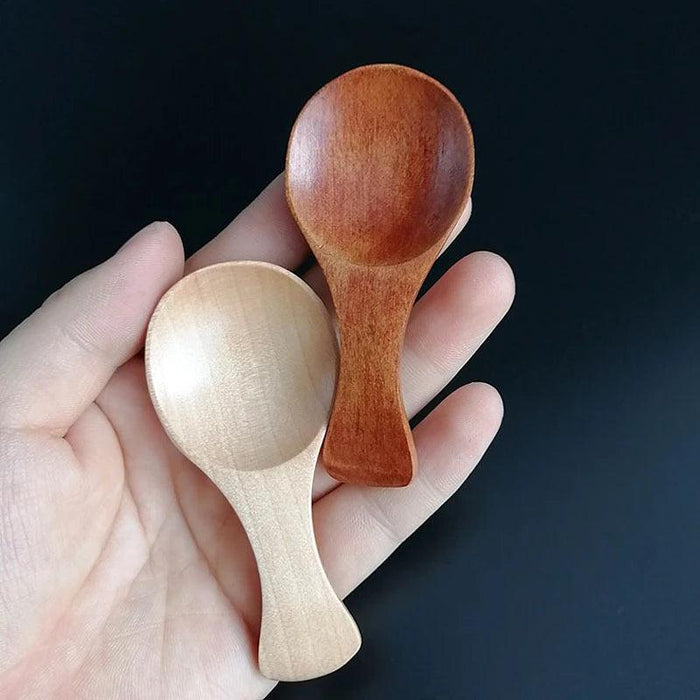 Eco-Friendly Mini Wooden Spice Spoons Bundle - Set of 4