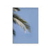 Tranquil Coastal Blue Palm Leaf Canvas Art - Boho Beachy Wall Hanging