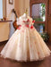 Elegant Children's Appliqued Evening Gown for Special Occasions