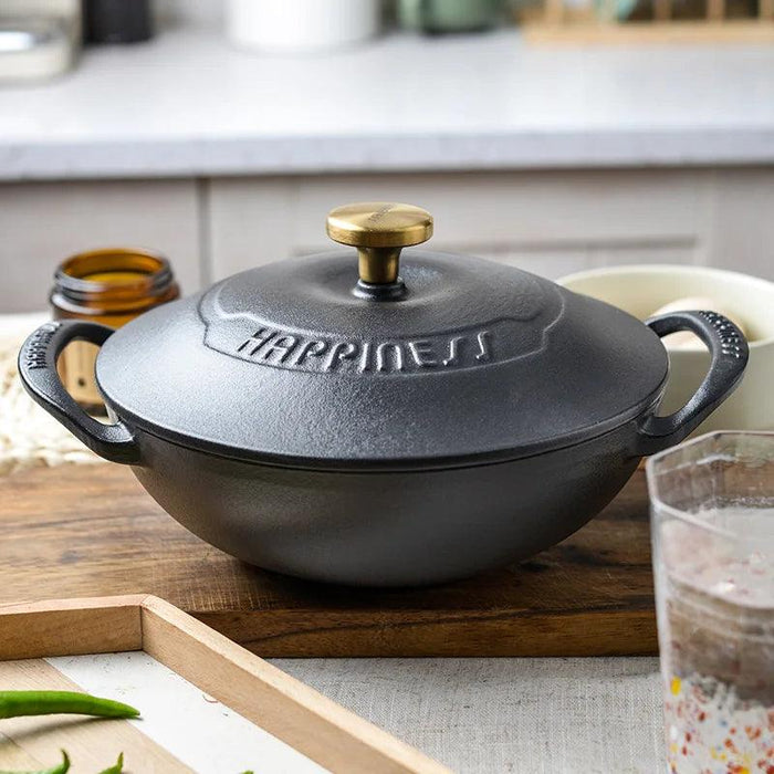 Versatile 21cm Enamel-Coated Cast Iron Stew Pot for Low-Pressure Cooking