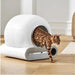 Smart Connected Cat Litter Box with App Control and Odor Management