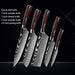 Premium Japanese Damascus Kitchen Knife Set - 1 to 10 Piece Collection for Masterful Culinary Precision