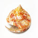 Vivid Orange Tower Conch Shell for Aquatic Decor and Creative Projects