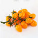 Realistic 19cm Faux Cherry Tomato Bunch for Home Decor and Event Styling