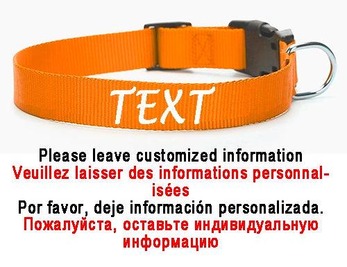 Personalized Nylon Dog ID Collar – Custom Name & Contact Info for Every Dog Breed