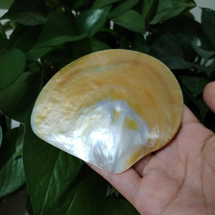 Elegant Yellow Abalone Pearl Smudge Bowl for Spiritual Practices and Crafting