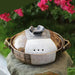 Elegant Tri-Section Japanese Clay Casserole: Perfect for High-Heat Culinary Creations