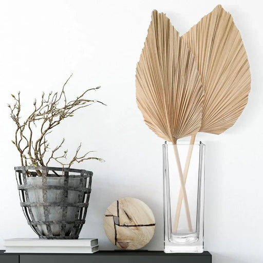 Clear Glass Tall Flower Vase Set of 6 - Elegant Home Decor Solution