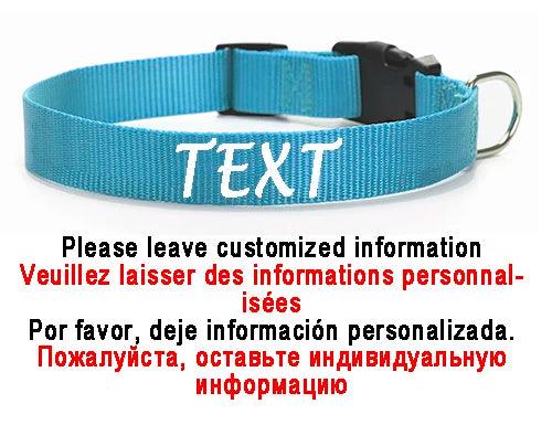 Personalized Nylon Dog ID Collar – Custom Name & Contact Info for Every Dog Breed