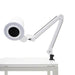 Dual Function Shadowless Lamp and Nail Dust Collector for Salons