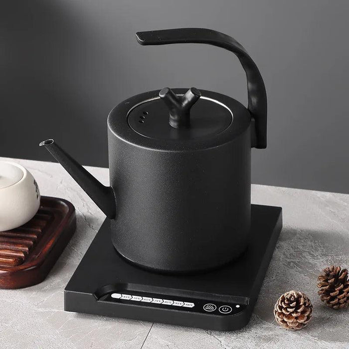 Elegant Precision Electric Kettle with Quick Boil and Temperature Settings